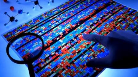 1 Arriva la Banca dati del DNA per le persone scomparse. Presidente La Scala: “Una vittoria dell’Associazione Penelope”