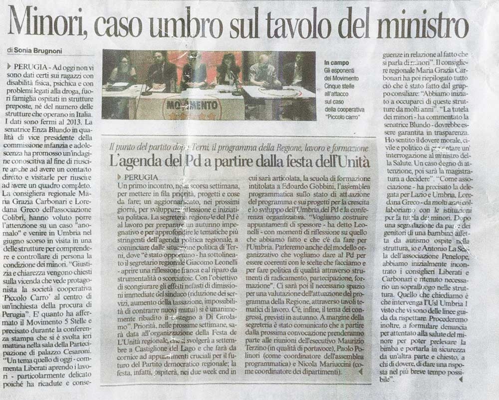 1 Il caso delle strutture preposte alla gestione dei minori affetti da disabilità fisiche, psichiche e problemi con gli stupefacenti.